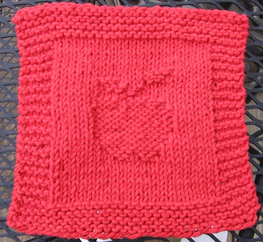 Apple cloth 1.jpg