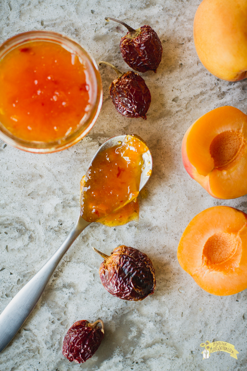 Apricot Habanero Jam-1.jpg