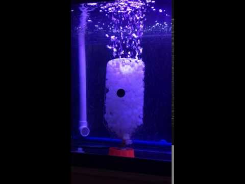 Aquarium Filtration: Bio-Reactor