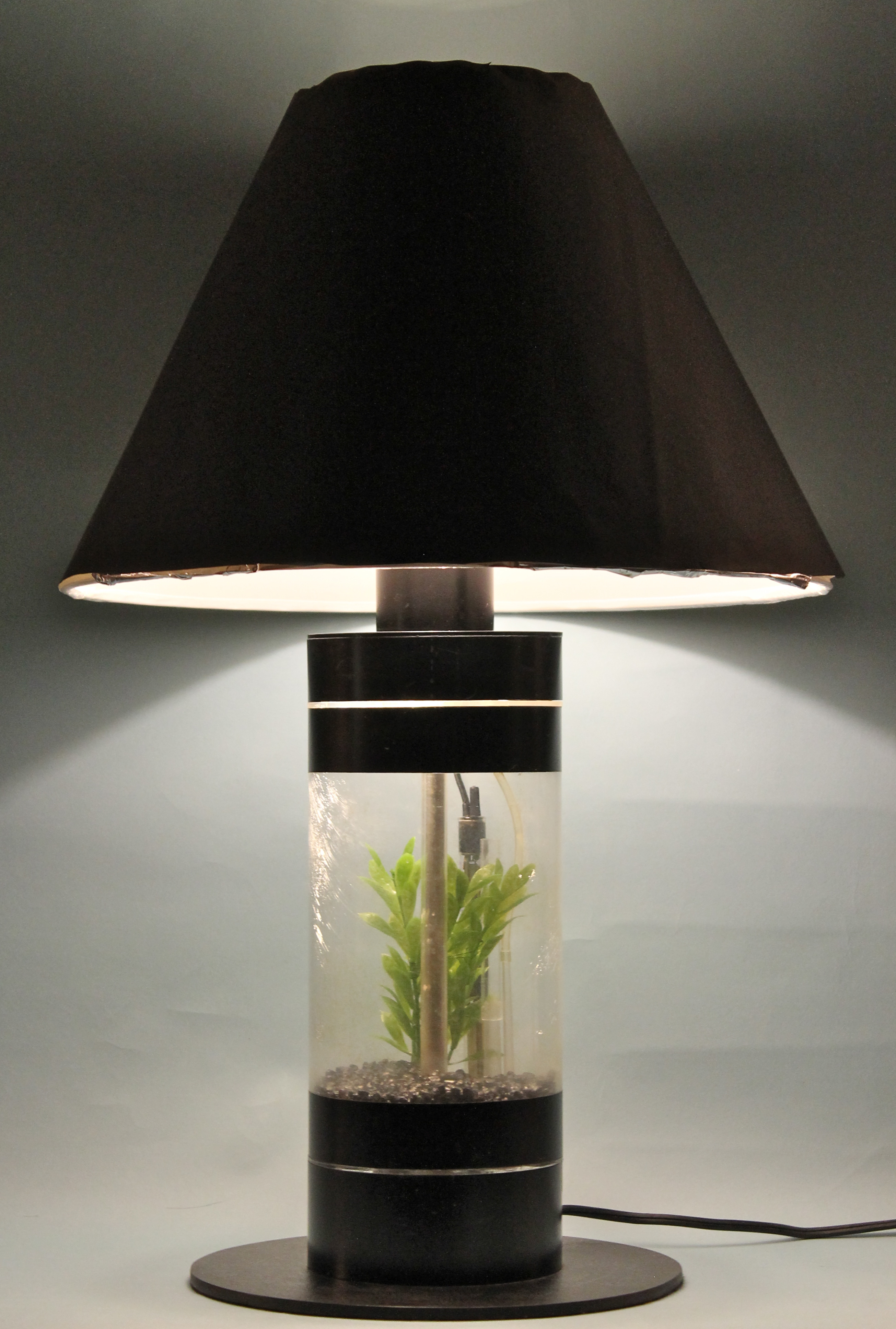 Aquarium Table Lamp 2 - IMG_3412.jpg