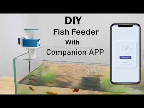 Aquassist | DIY Automatic Fish Feeder with Companion App | Wemos D1 Mini | Arduino IDE | Coders Cafe