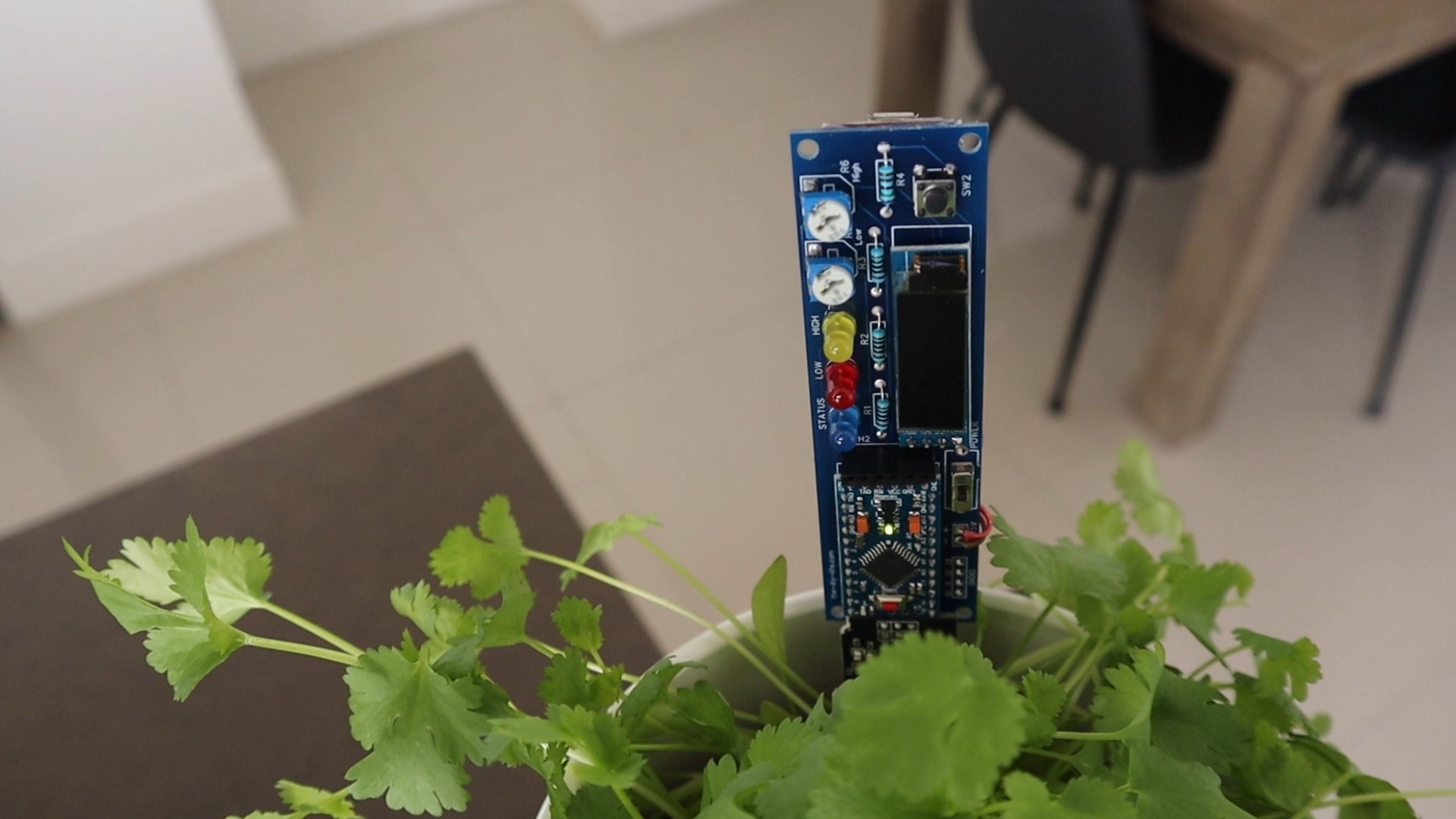 Arduino Based Soil Moisture Monitor In Pot.jpg