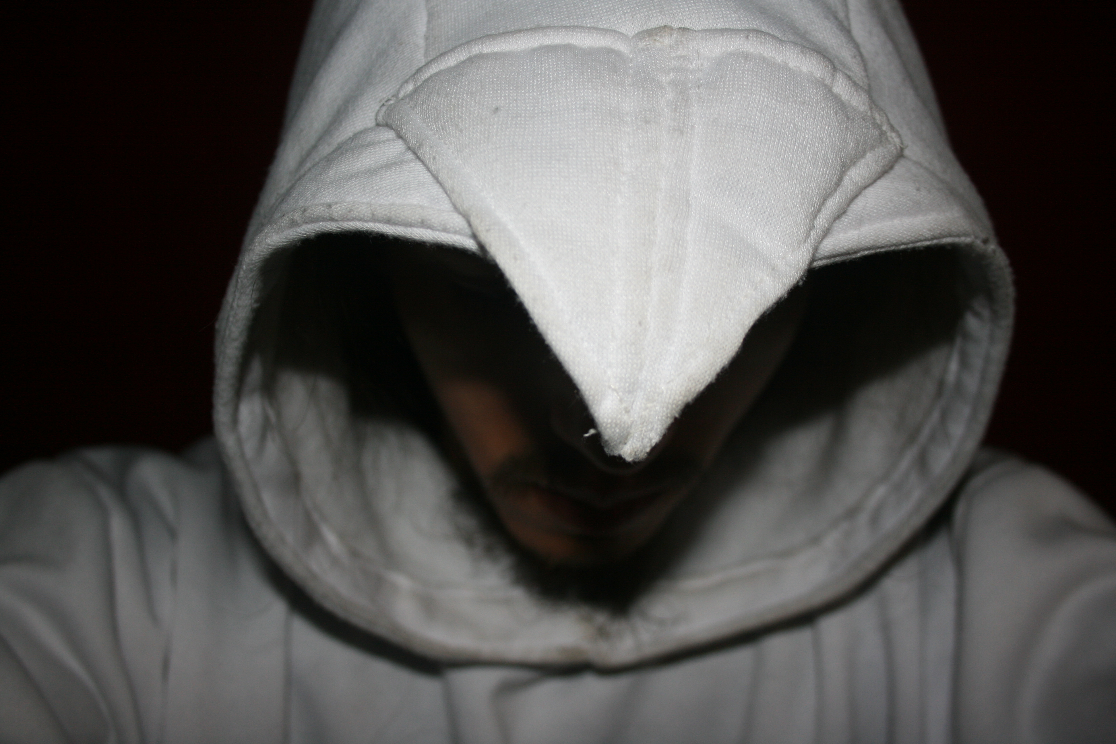 AssassinHoodie (19).JPG