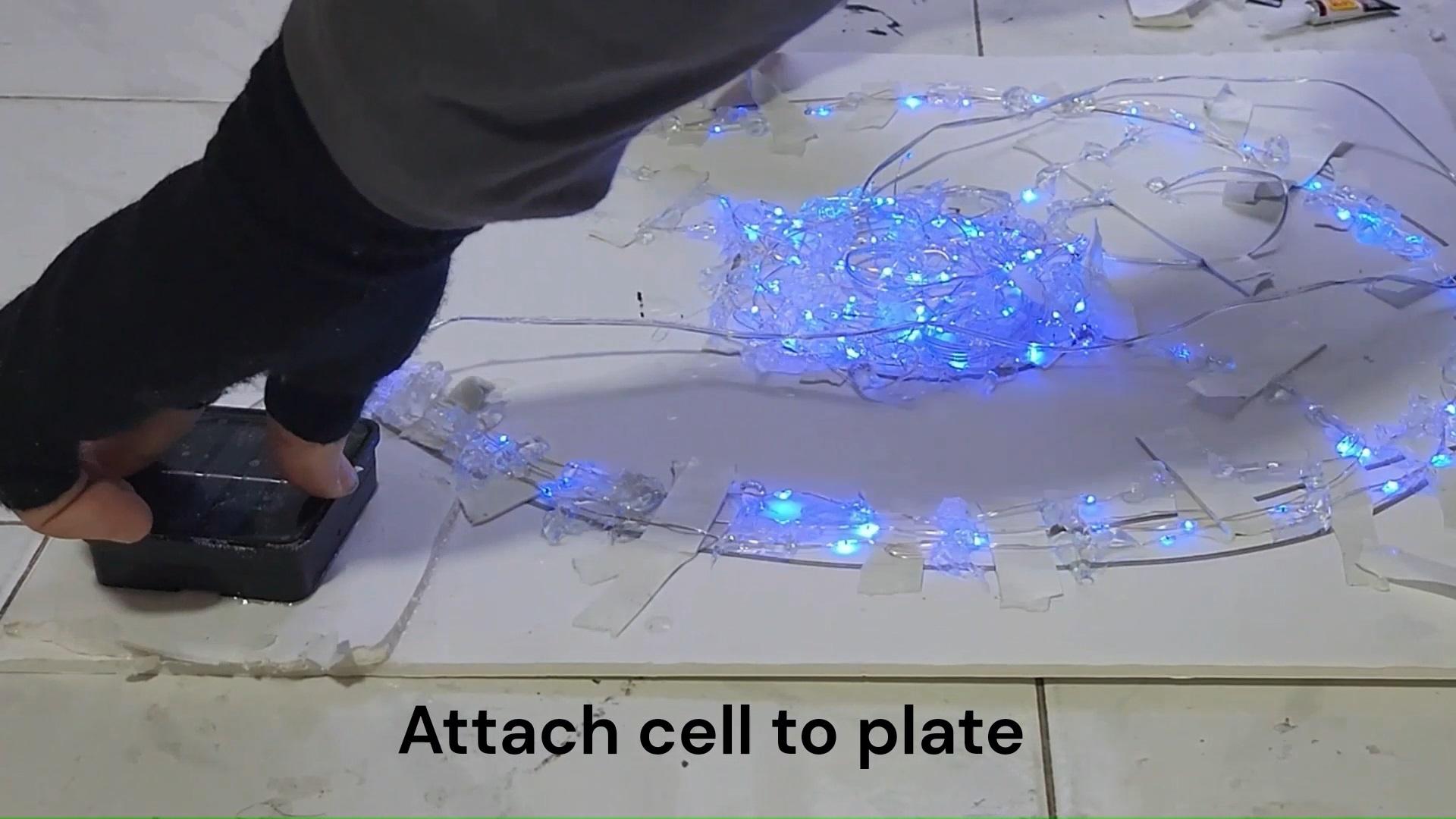 Attaching Cell To Plate.jpg