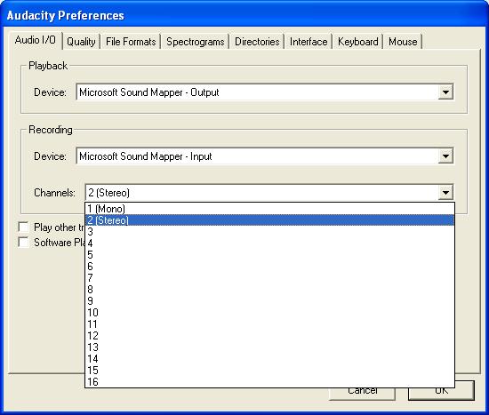 Audacity Stereo or Mono.JPG