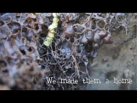 Australian Stingless Bees - Making a Hive