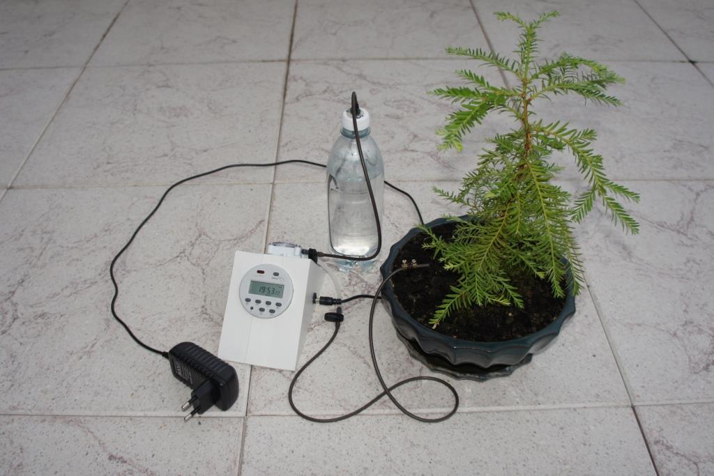 Automated_Bonsai_Watering_02.JPG