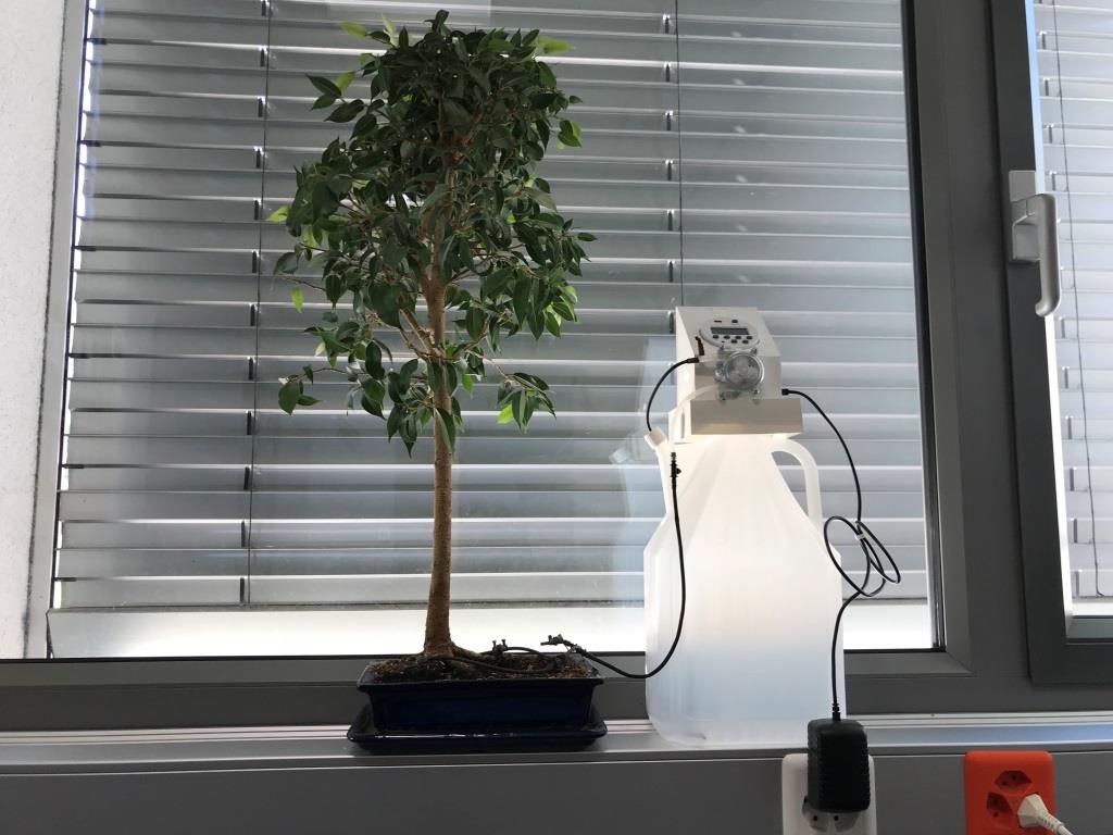 Automated_Bonsai_Watering_14.JPG