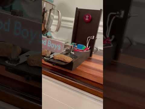 Automatic &quot;Alexa&quot; enabled dog-treat dispenser