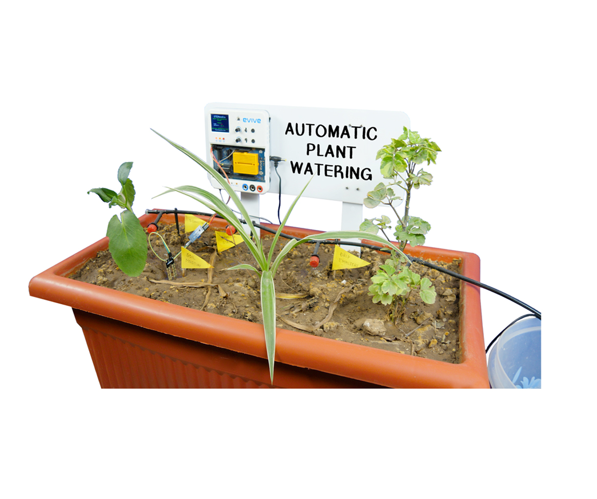 Automatic Plant Watering System.jpg