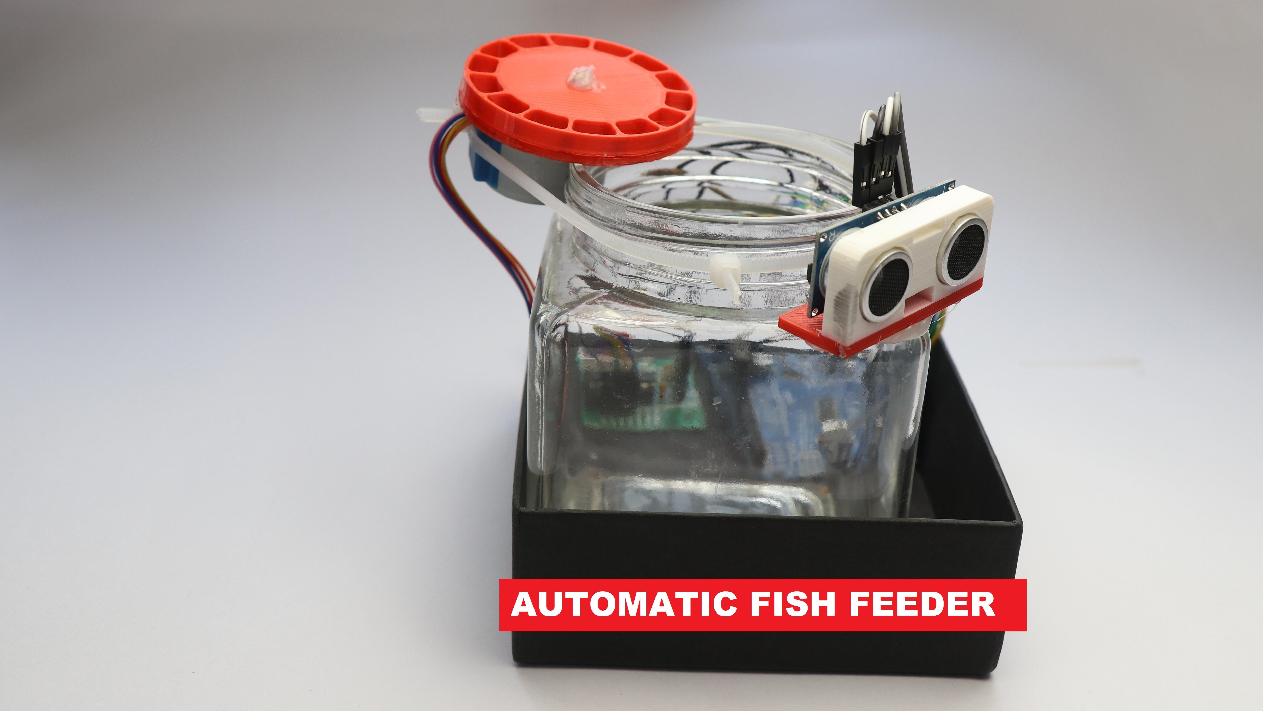 Automatic fish feeder.JPG