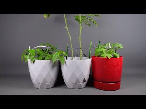 Automatic plant watering system