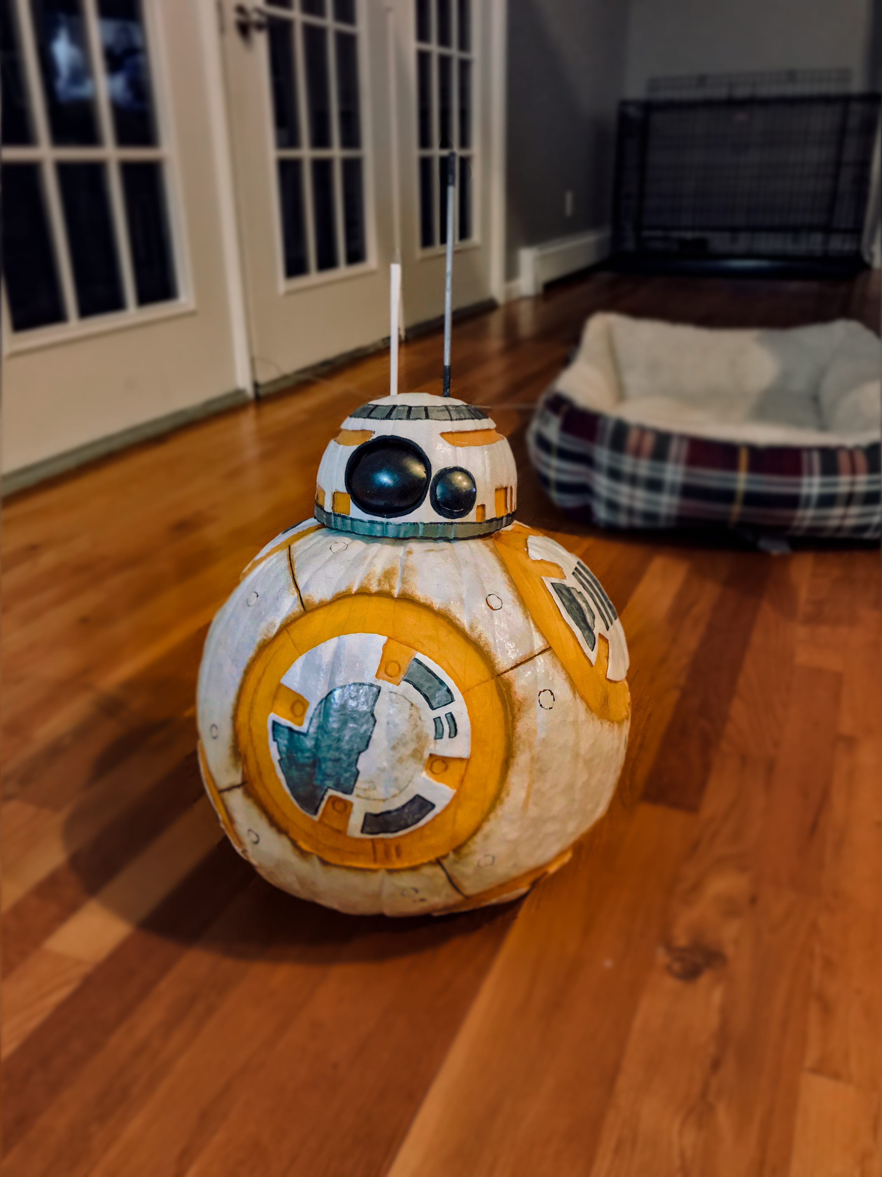 BB8 - Done 1-Edit.jpg