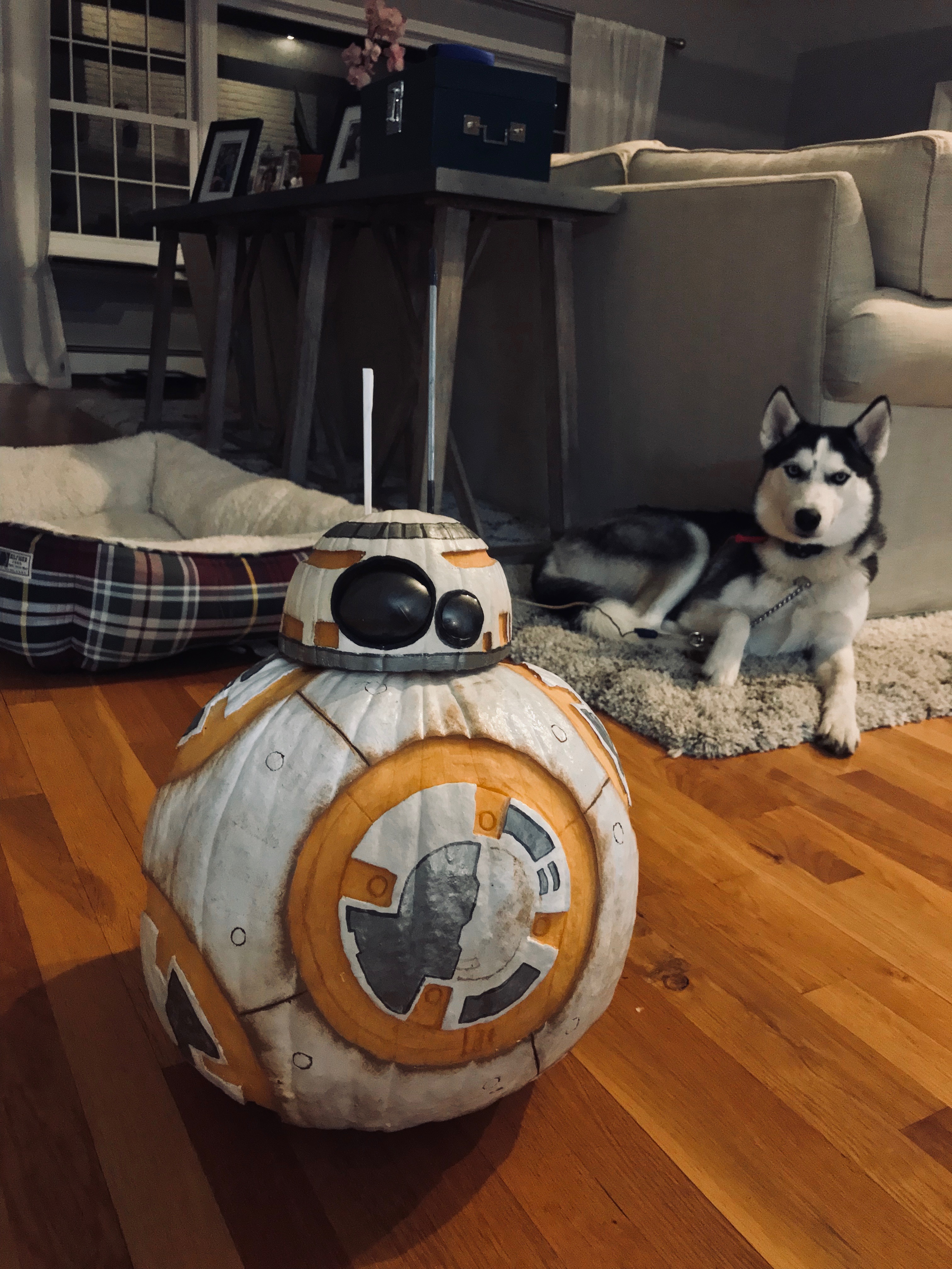 BB8 - Done 2.JPG