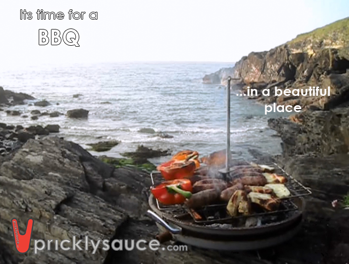 BBQ instructables 33.jpg