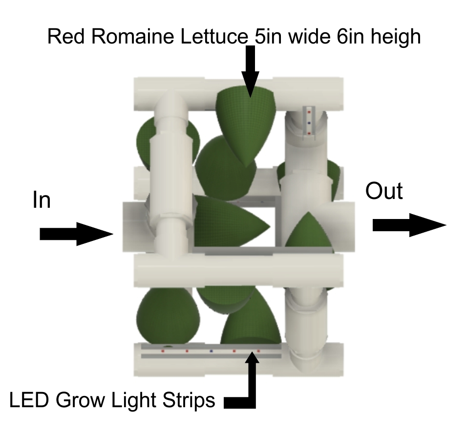 BFN_Inlet and Outlet.jpg