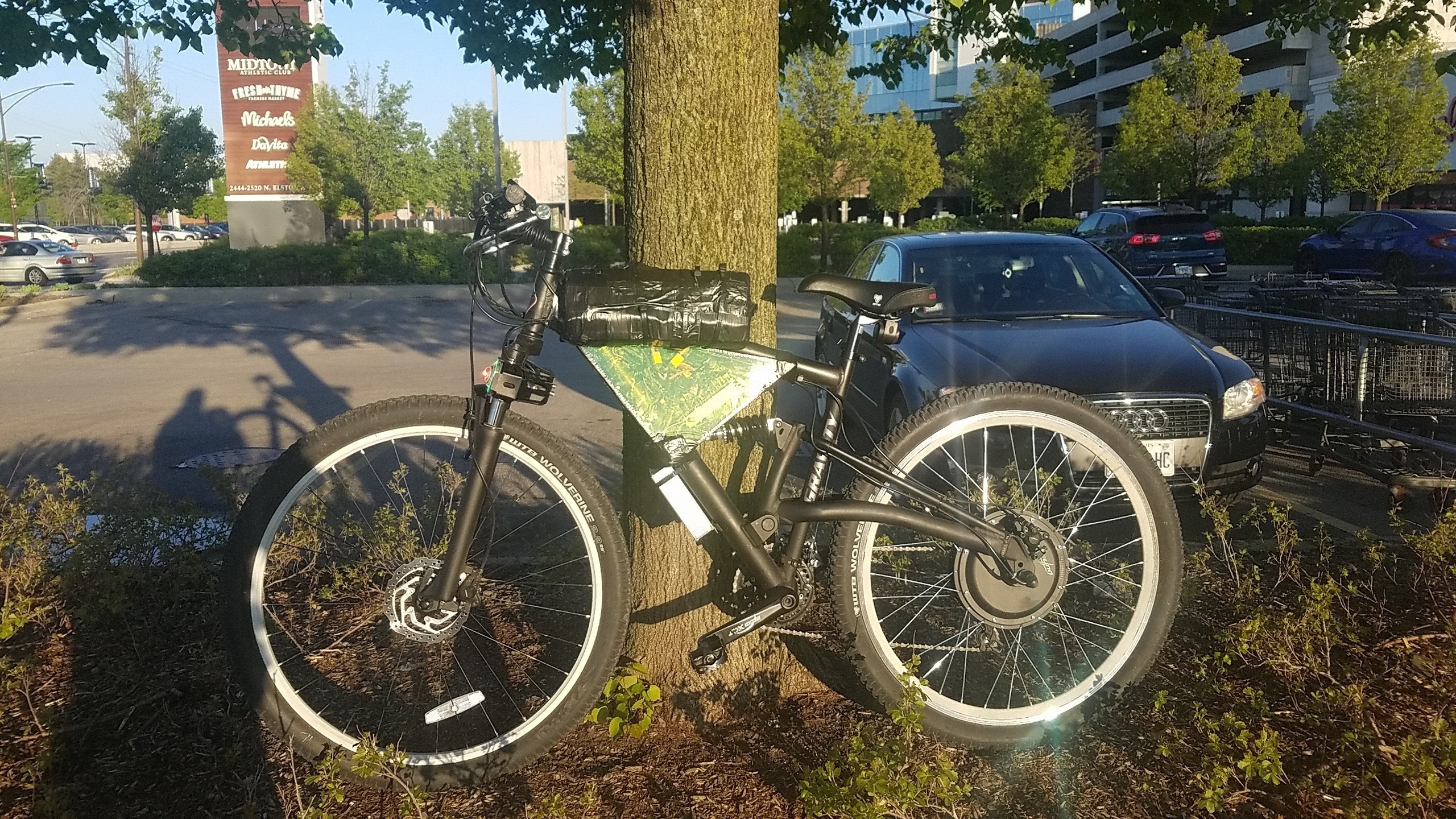 BIKETREE1.jpg