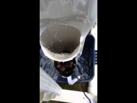 BLT Robotics - RUFS 2.0 - Water rate in net pots - Part 2