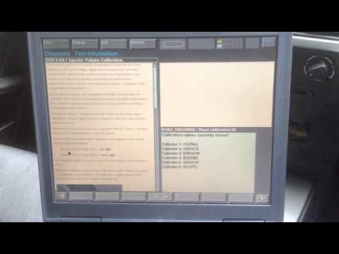 BMW Diesel Injector Coding with DIS v44 [easyDIS, VM Ware]