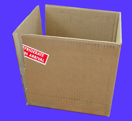 BOX B cut down to size.jpg