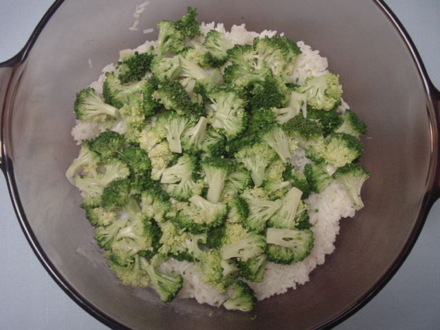 BRC 03 Broc.JPG