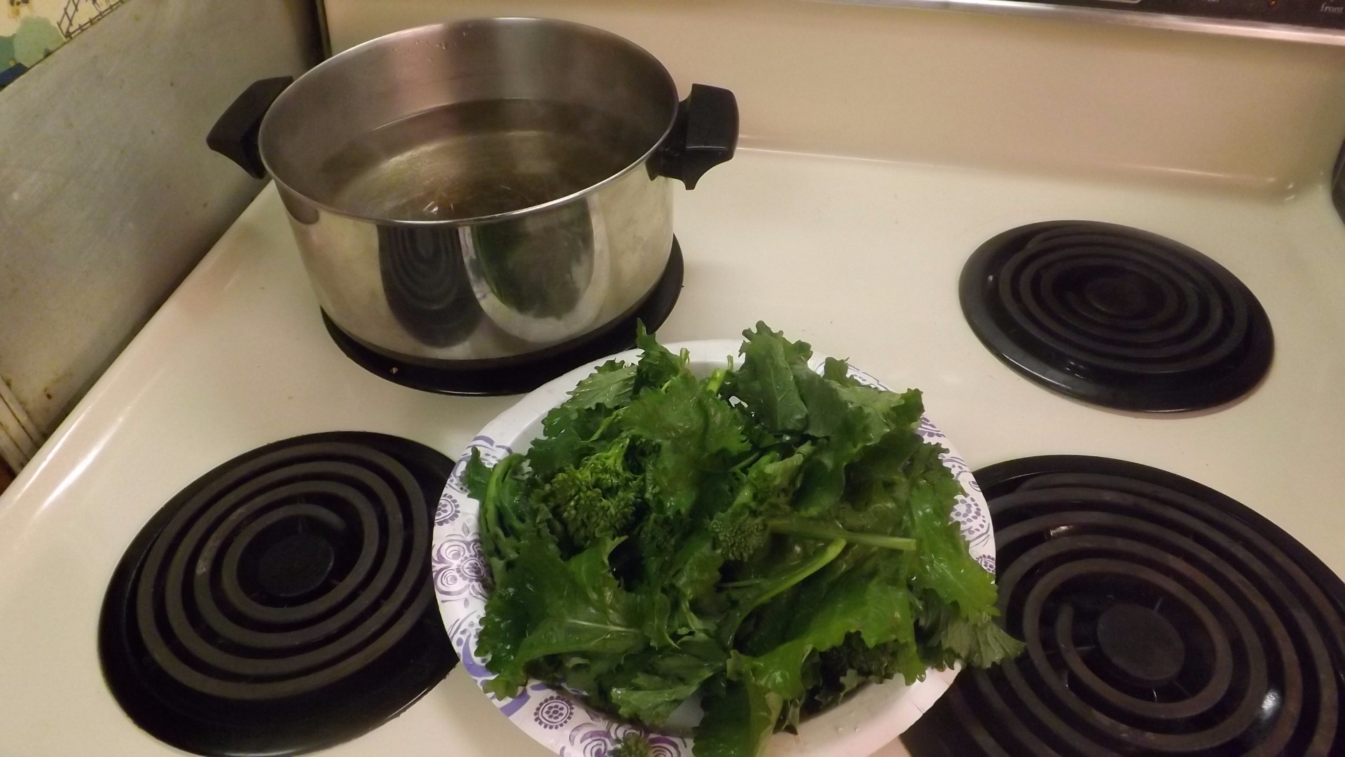 BROCCOLI RABE 022.JPG