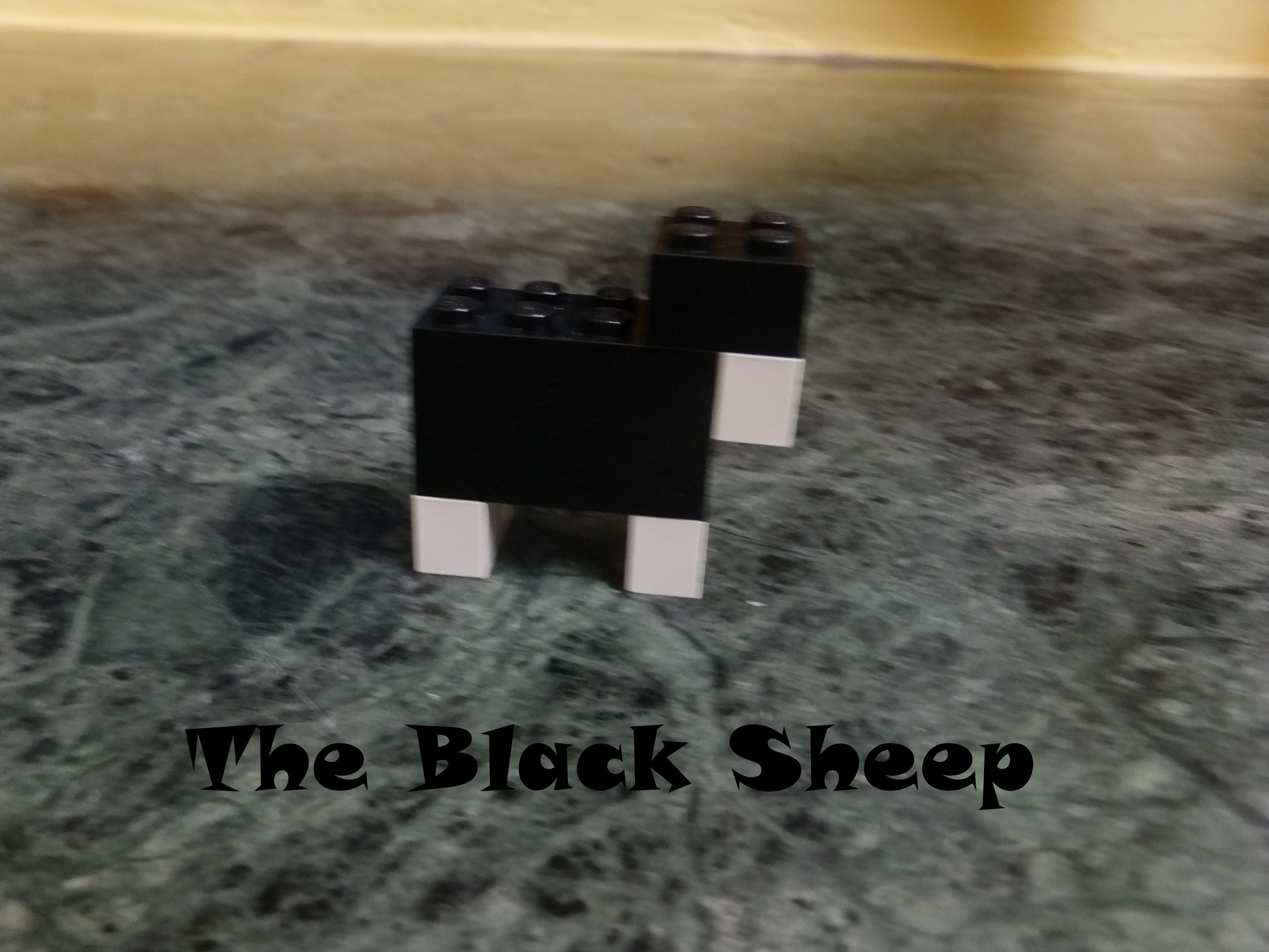 BS Cover.JPG