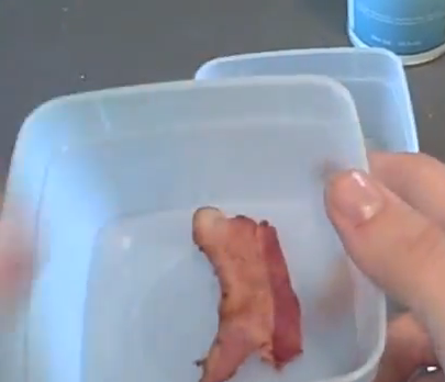 Bacon 1.png