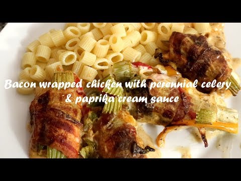 Bacon wrapped chicken with perennial celery &amp;amp; paprika cream sauce recipe