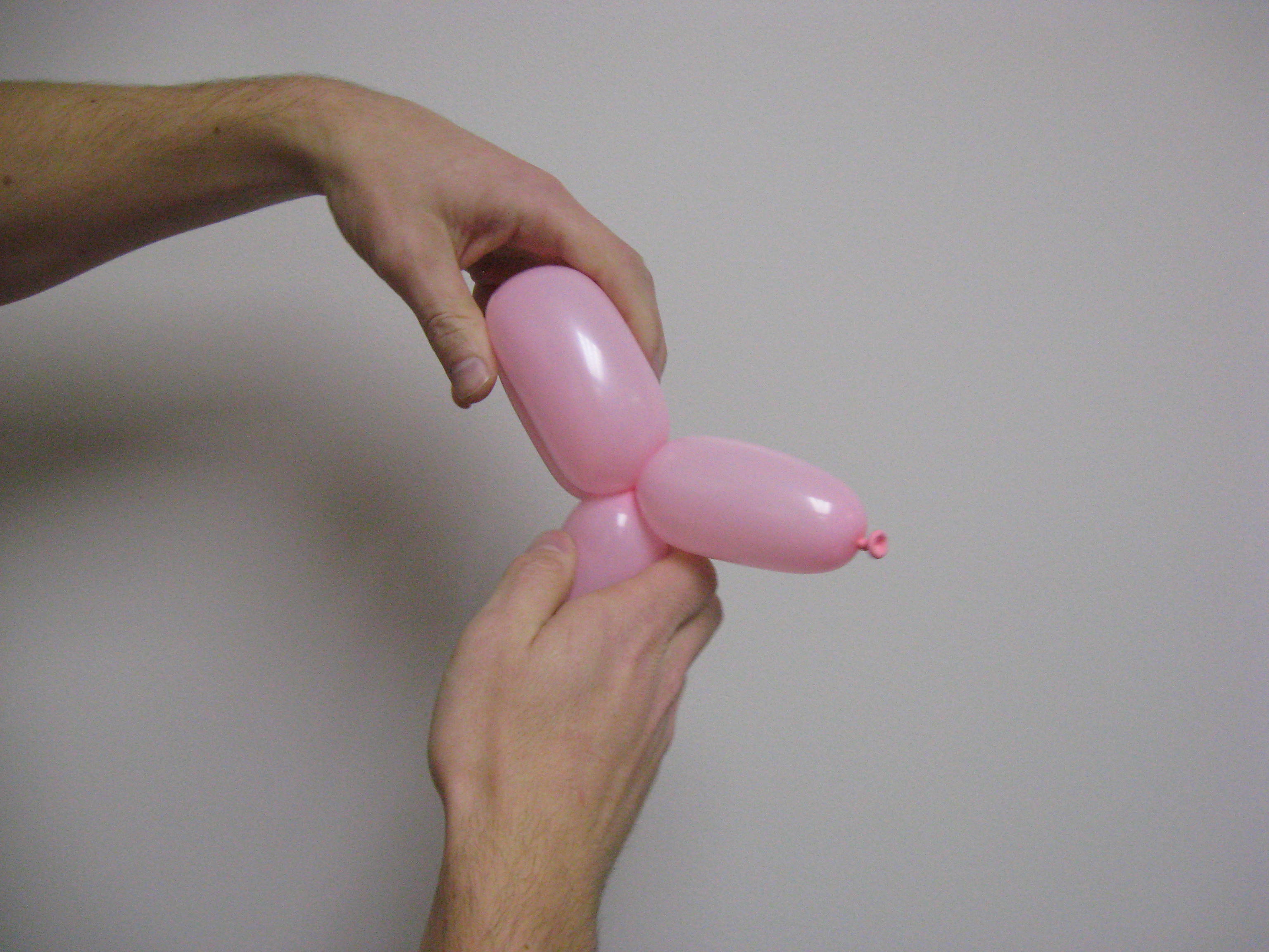 Balloon Puppy 004.jpg