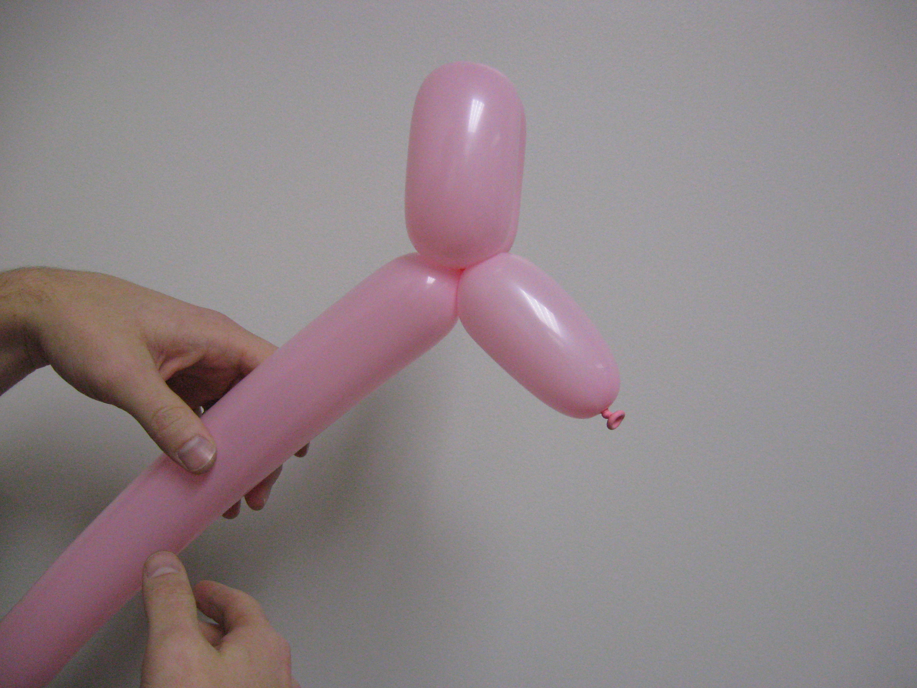 Balloon Puppy 005.jpg