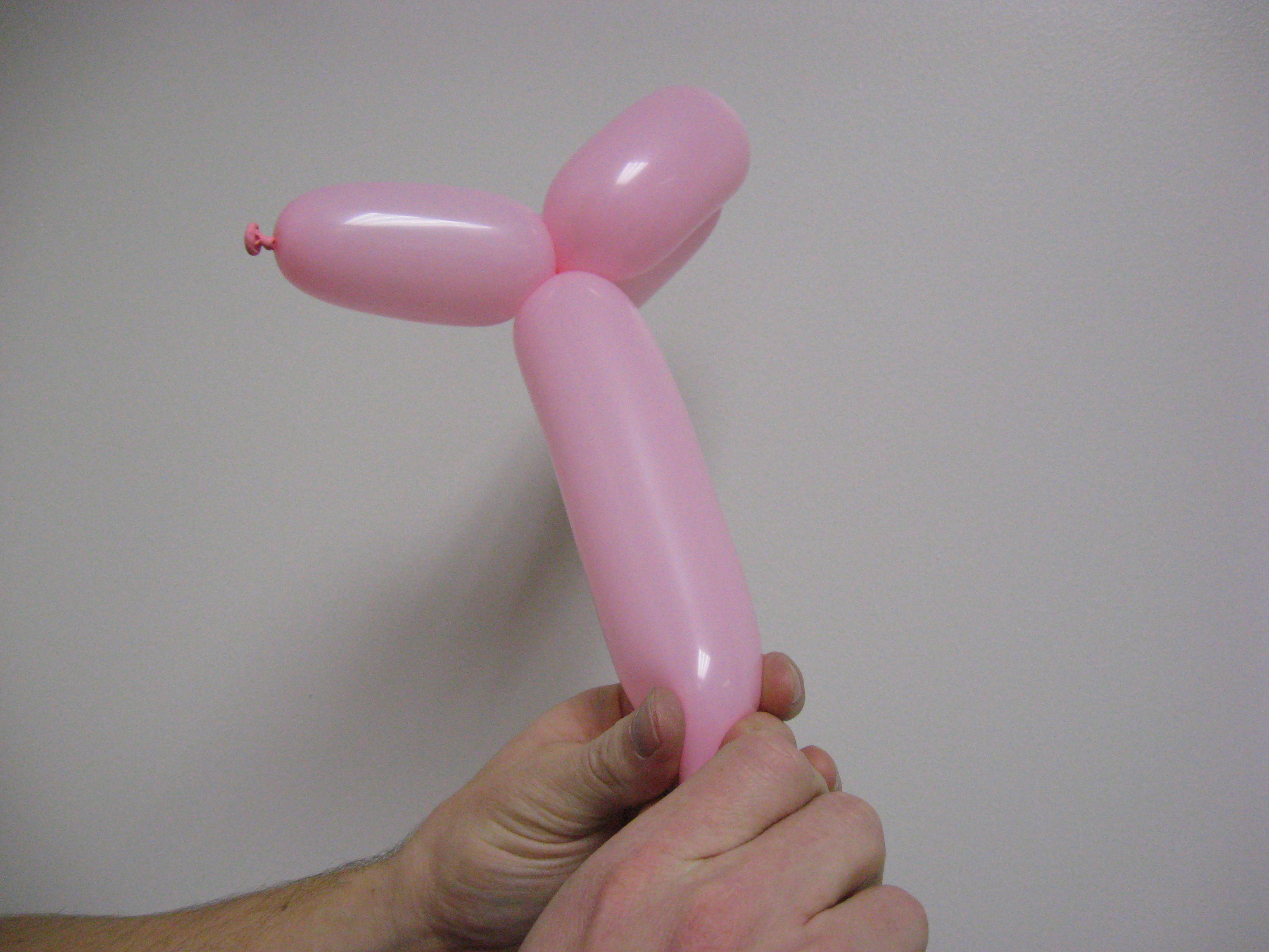 Balloon Puppy 006.jpg