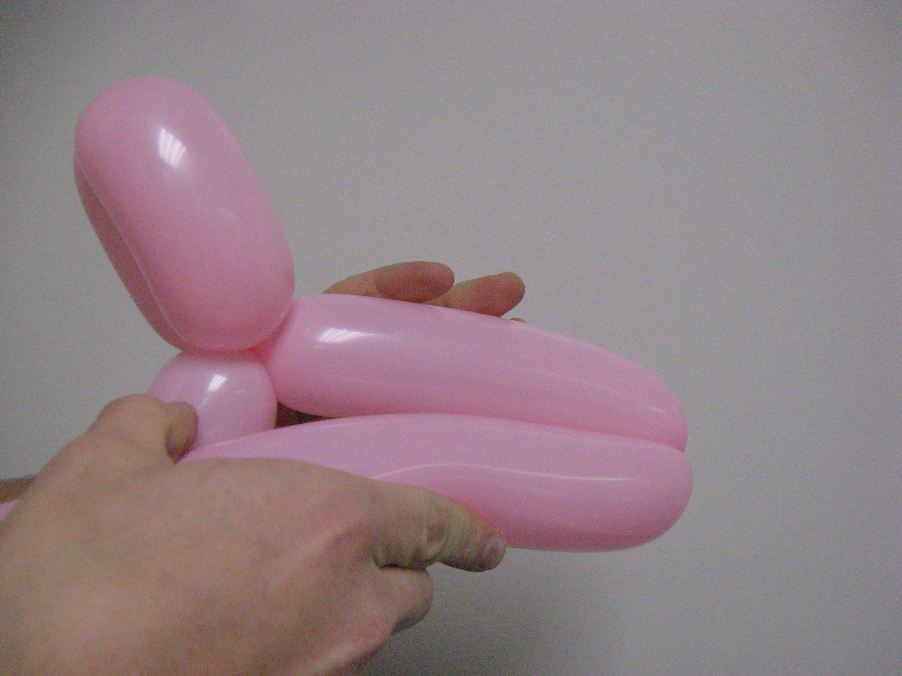 Balloon Puppy 007.jpg