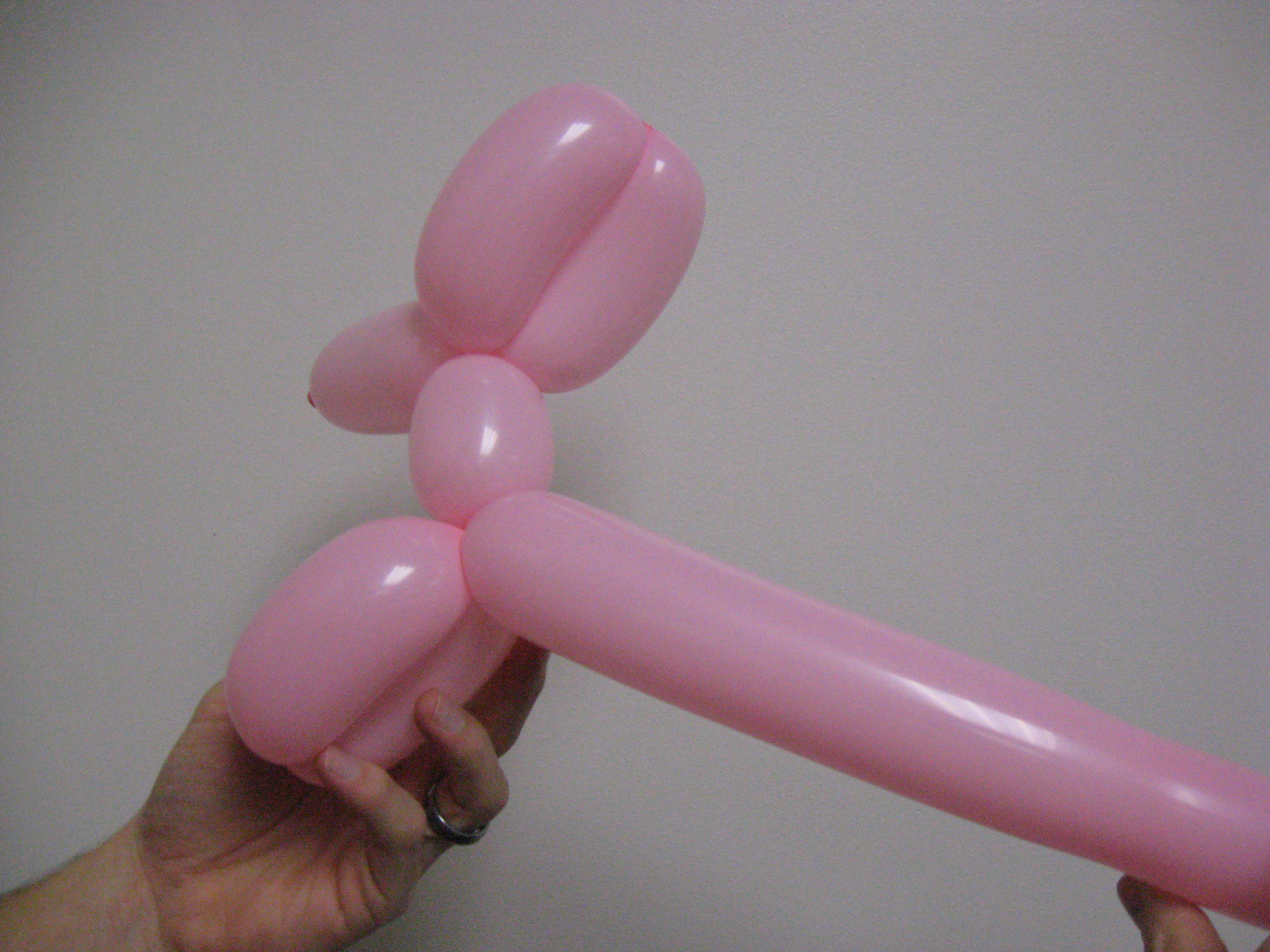 Balloon Puppy 008.jpg