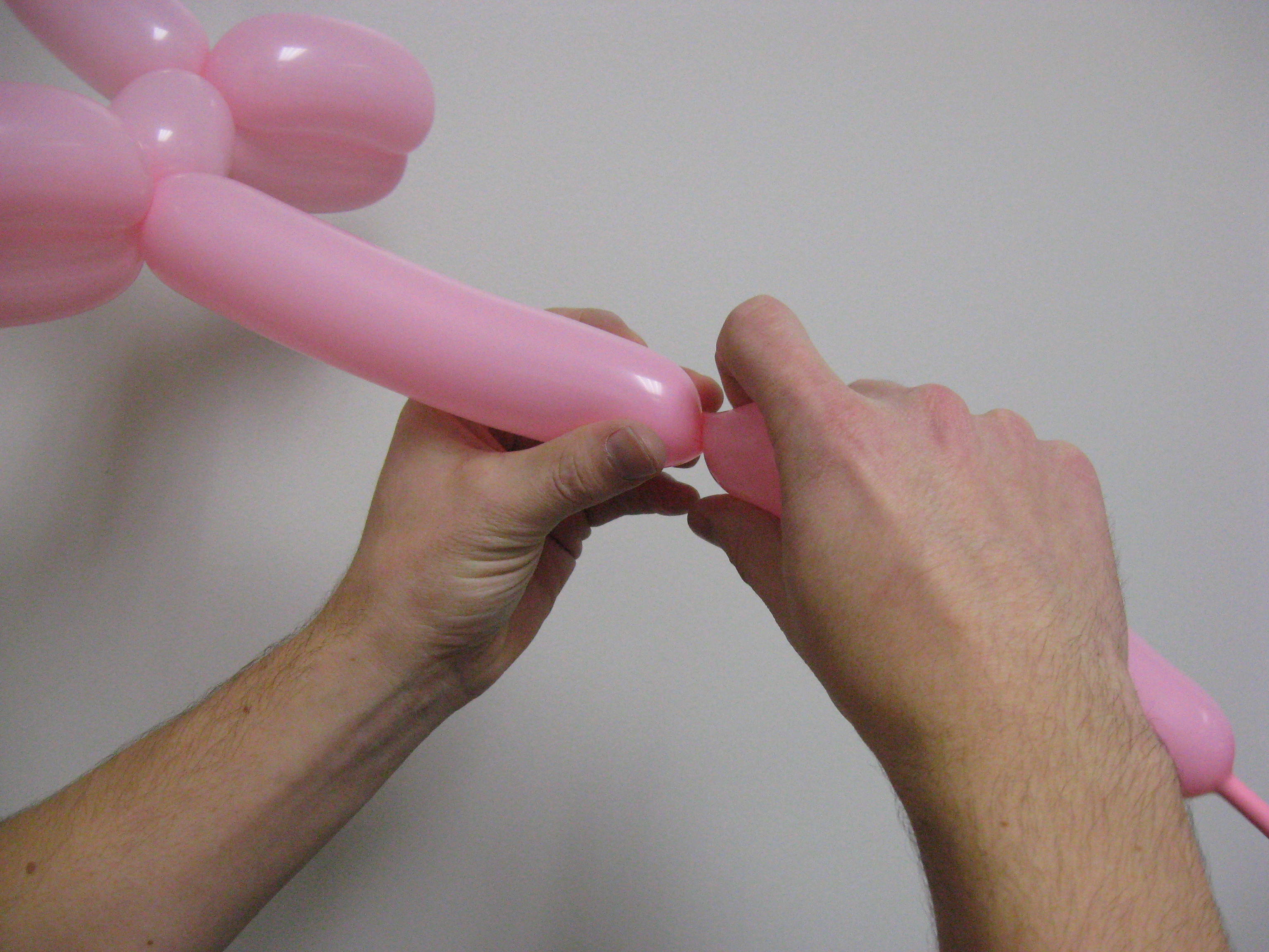 Balloon Puppy 009.jpg