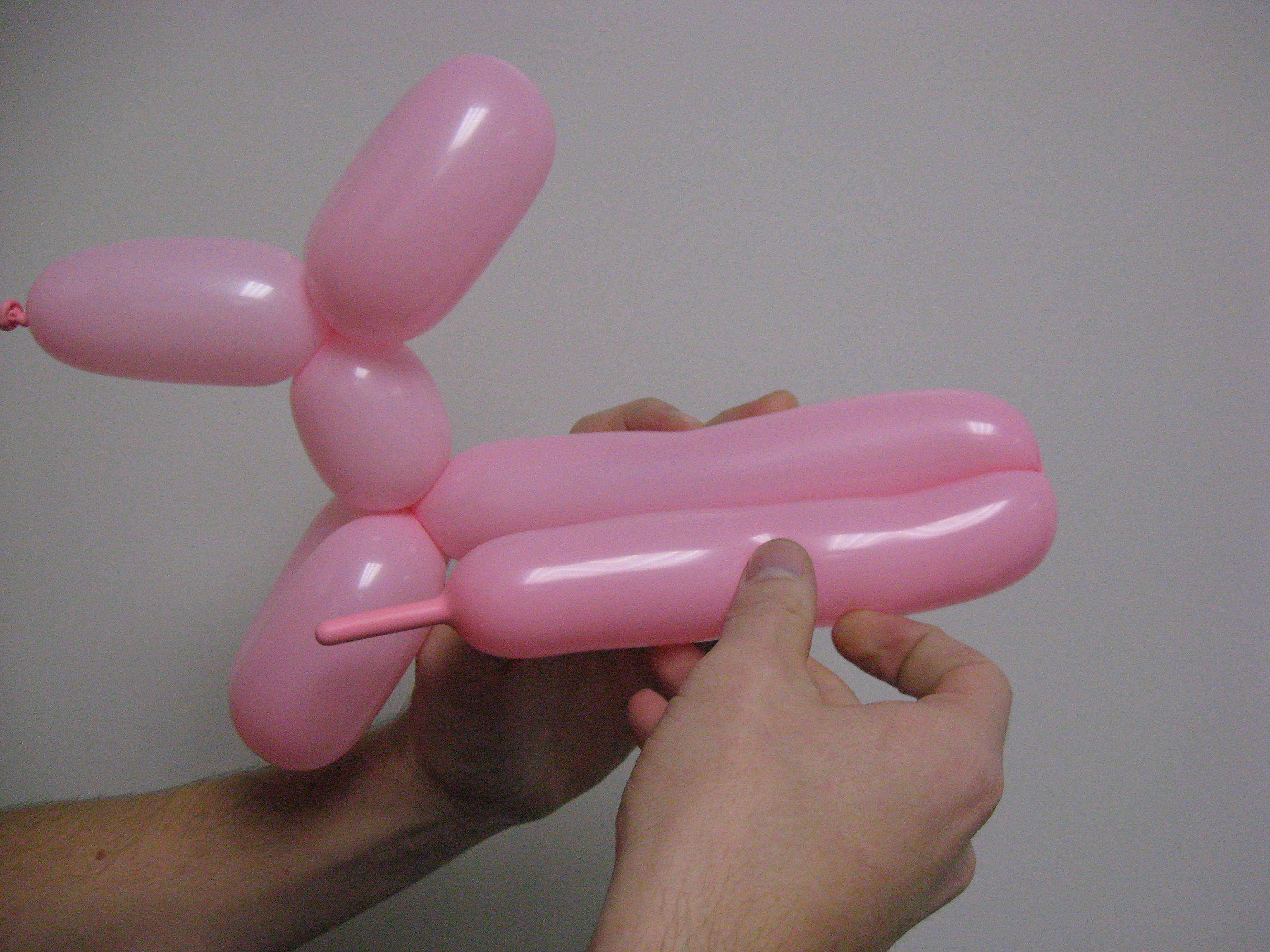 Balloon Puppy 010.jpg