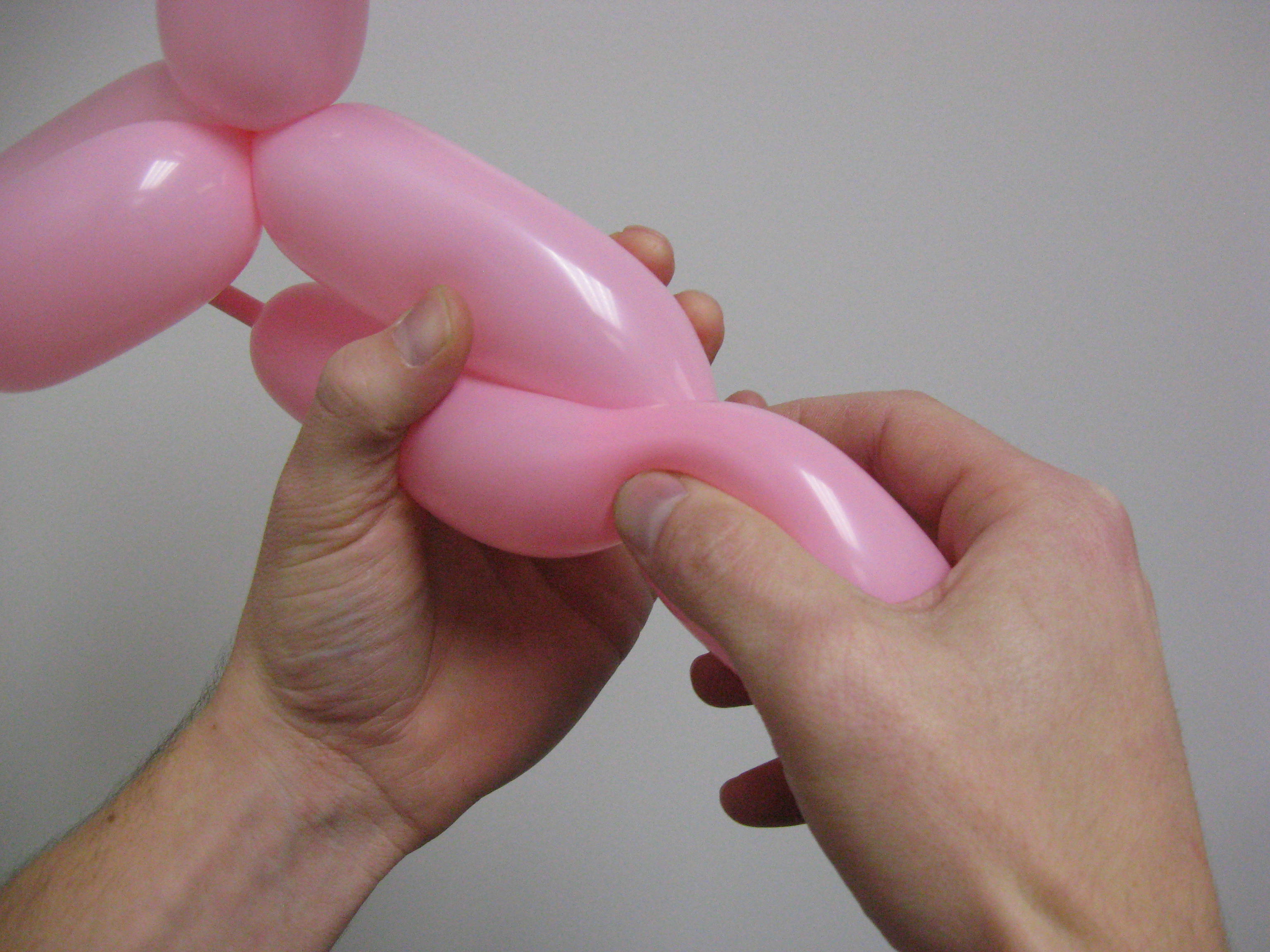 Balloon Puppy 016.jpg