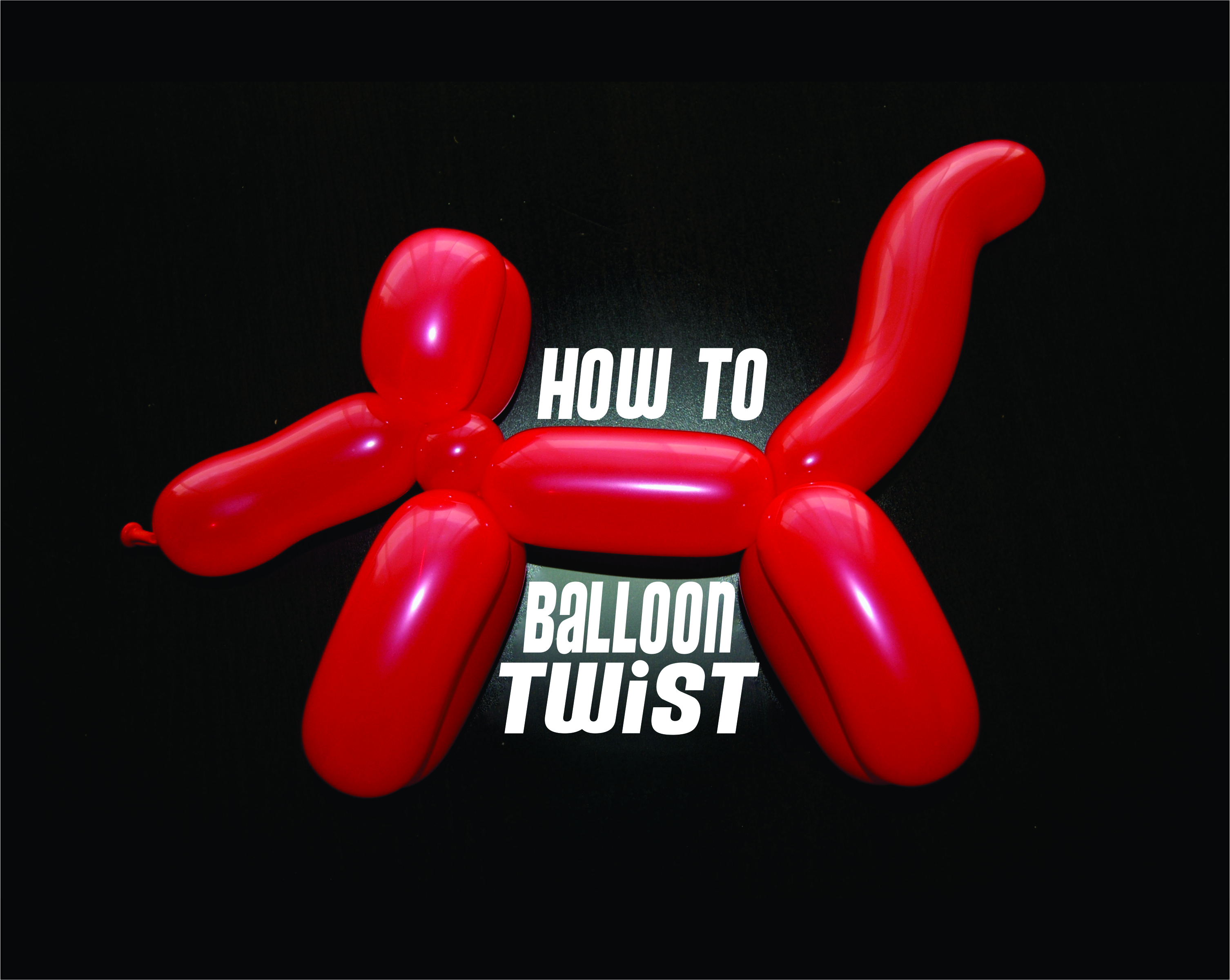 Balloon Twisting INstructable.jpg