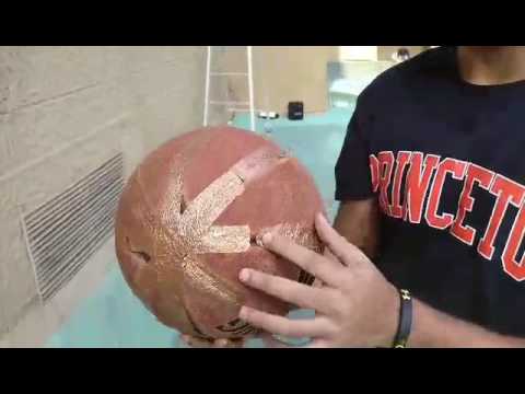 Banterous Balling Project: MTF