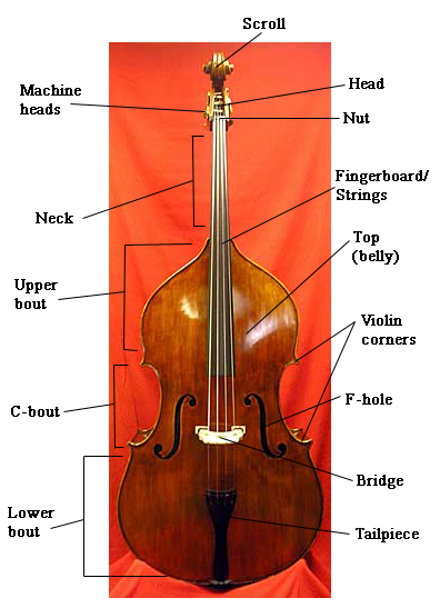 Bassdiagram.jpg