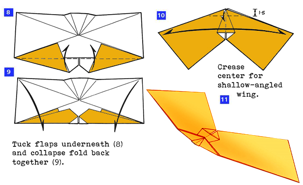 Bat_8-11.jpg