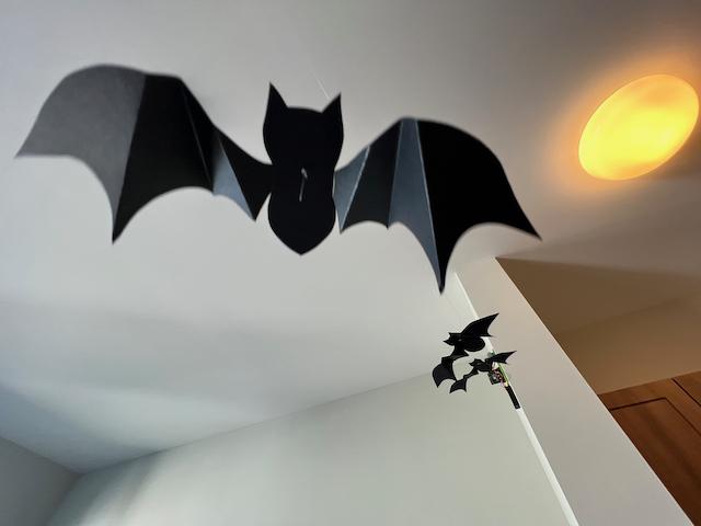 Bats - 12.jpeg