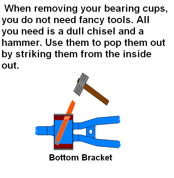 Bearing_Cups.bmp