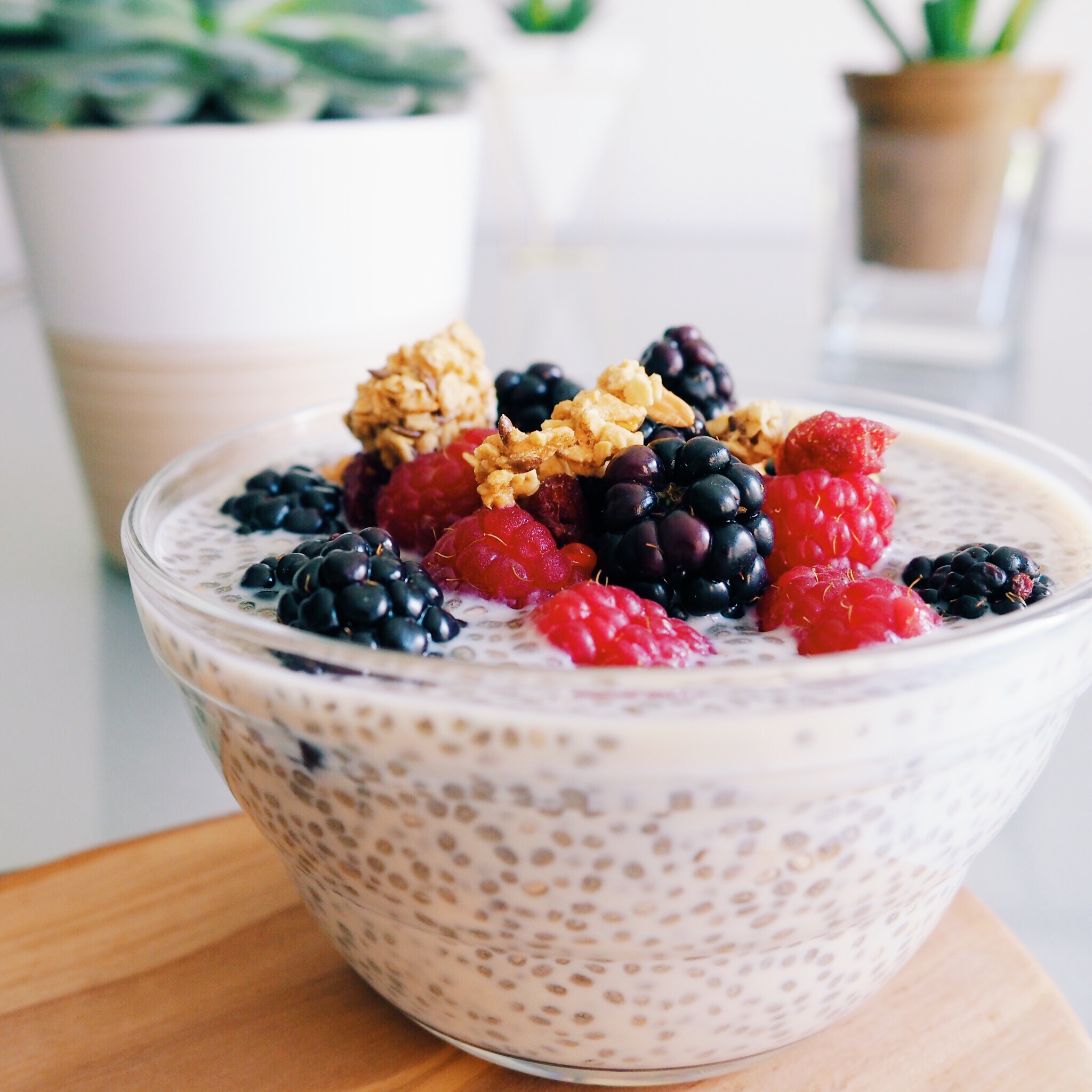 Berry Chia Seed Pudding(1).jpg