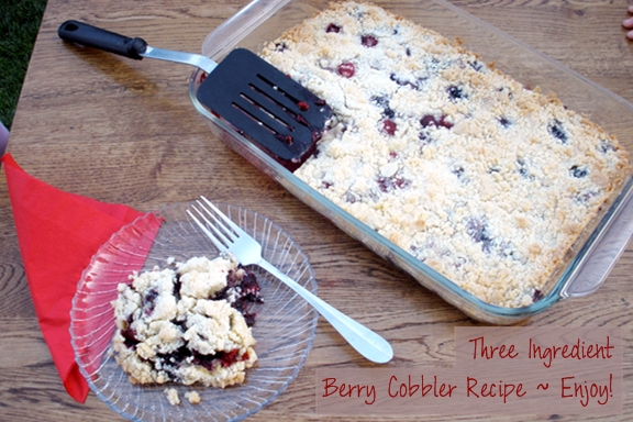 Berry Cobbler - Page 003.jpg