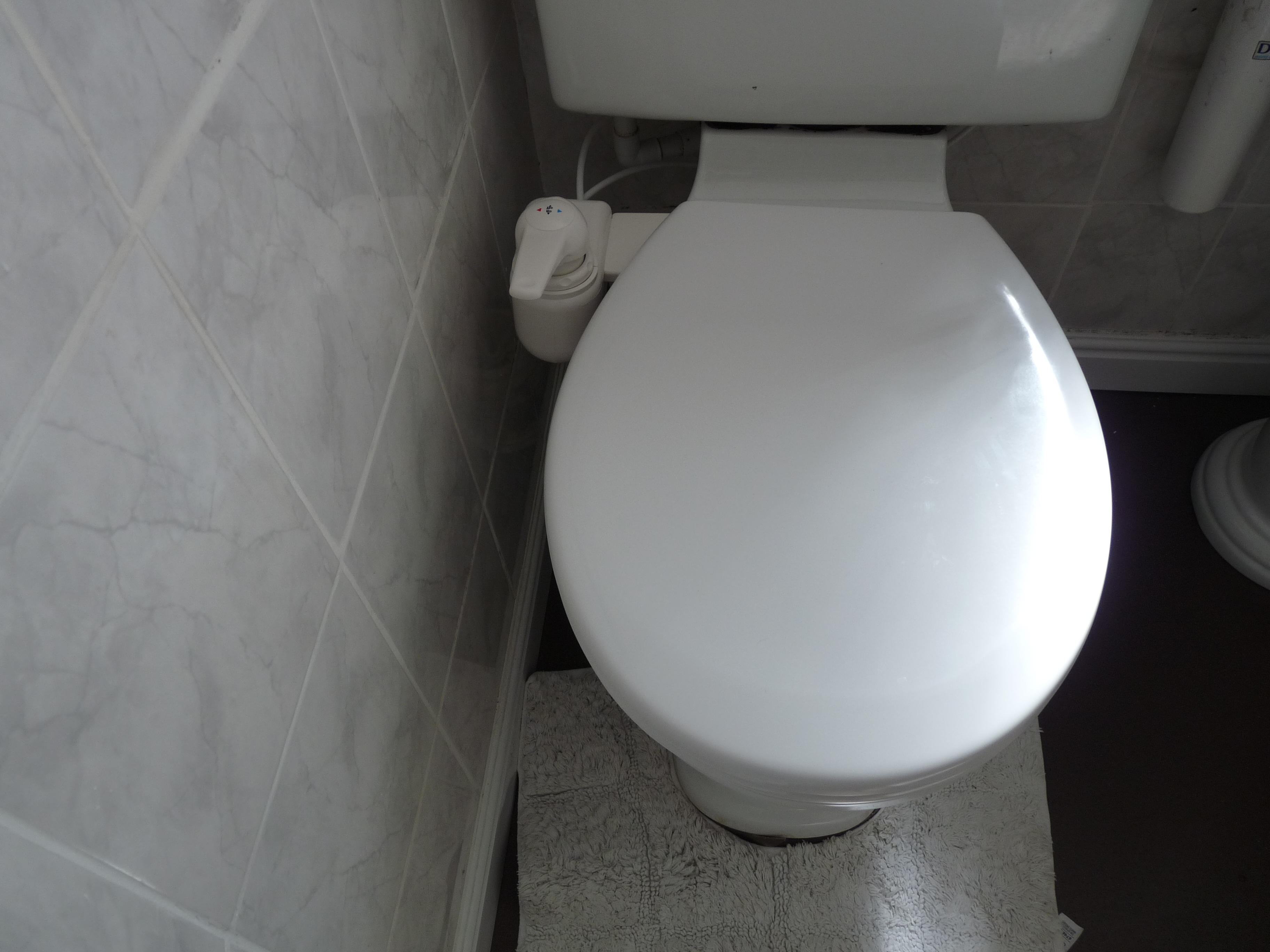 Bidet (26).JPG