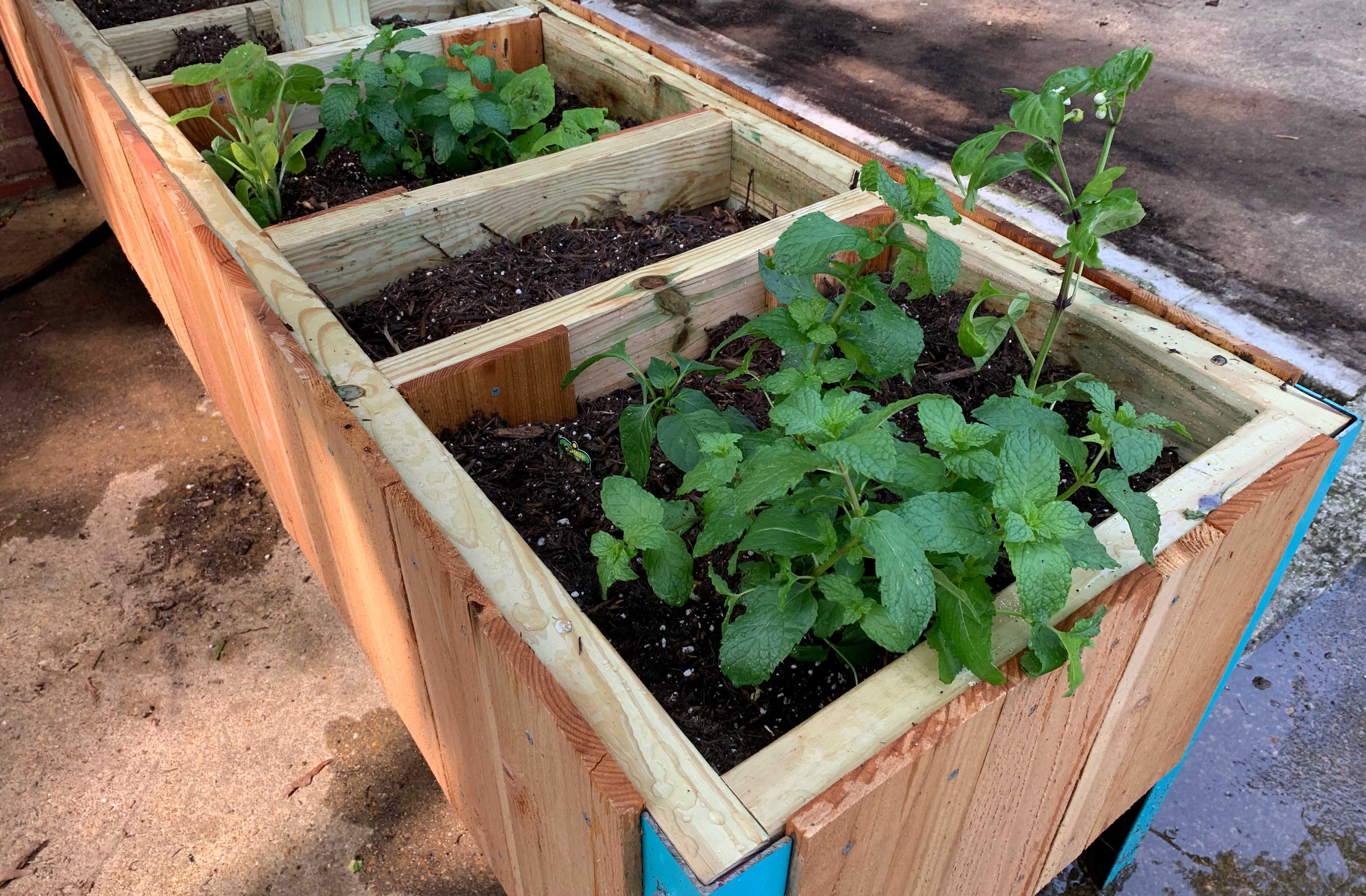 Bins-and-planters.jpg