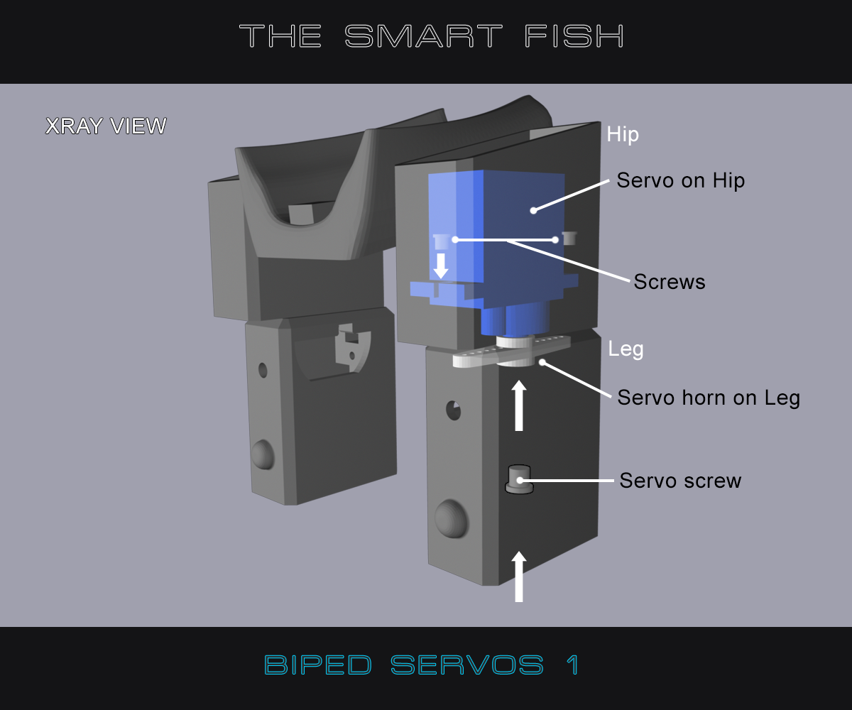 Biped_Servos1.png