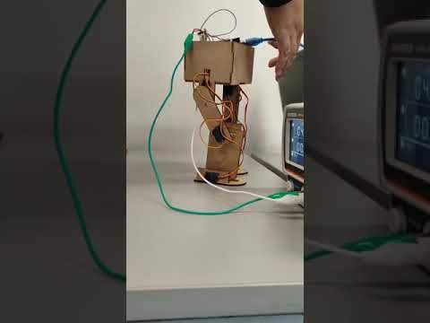 Bipedal robot exoskeleton