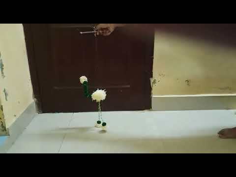 Bird Puppet Walk3